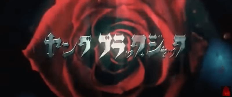 2011年4月に放送したテレビドラマ「ヤング ブラック・ジャック」のタイトル画面です。