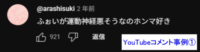 レペゼンの動画に関するYouTubeコメント事例①です。